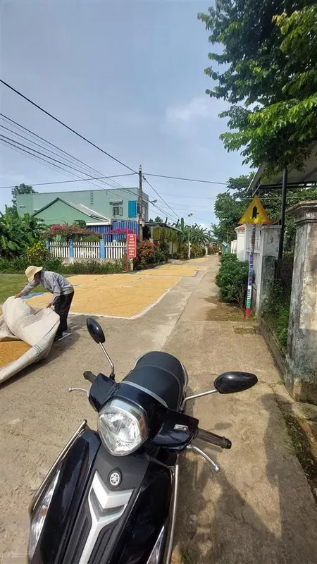 Đất đường bê tông 4m điện hồng,điện thọ giá 400 đến 700 triệu