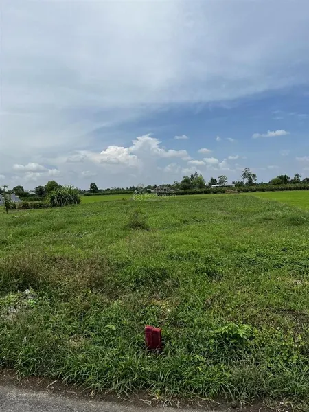 Bán đất xã bình phú gò công tây ( tiền giang)