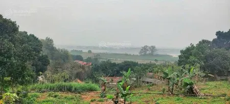 Rẻ nhất tt ba vì nhỉnh 3tỷ lô đất hơn 3800m có 400m đất ở bám đường bê tông view sông đà