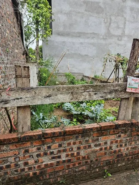 Siêu phẩm liên mạc siêu hiếm phân lô ô tô chạy vòng quanh giá nhỉnh 4 tỷ