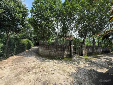 Lô góc 2 mặt đường tại lương nha, thanh sơn, phú thọ, cách tl317 vài trăm mét, cầu đồng quang 16km