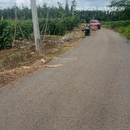 Bán đất gần ngã 6 đá bạc . gâbf nút giao cao tốc đang làm . sát tỉnh lộ 765
