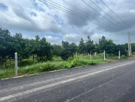 Cần bán lô đất thổ cư, trên đất có mít hơn 250m2 tại an long, tp. hcm mới, 0782 903 ***