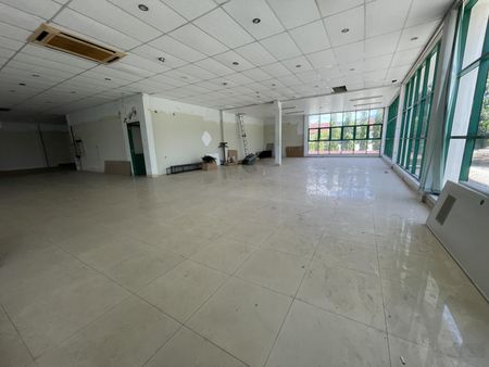 NCC Siêu phẩm 1.000 mét vuông cho anh chị em làm văn phòng công ty hoặc chứa hàng phường An Hải Bắc