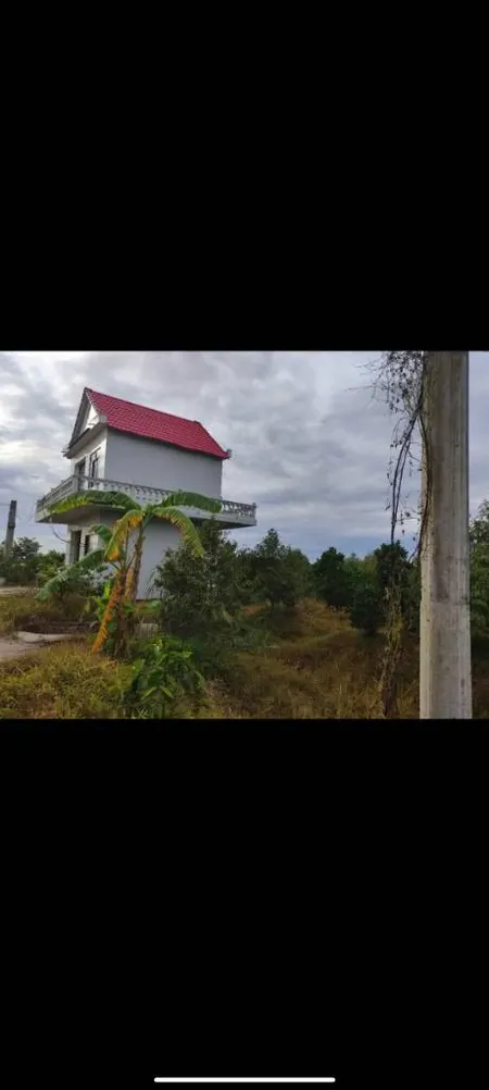 Cần ra gấp đất vườn trồng sầu riêng và mít, vườn được 4 năm, kẹt tiền cần ra gấp