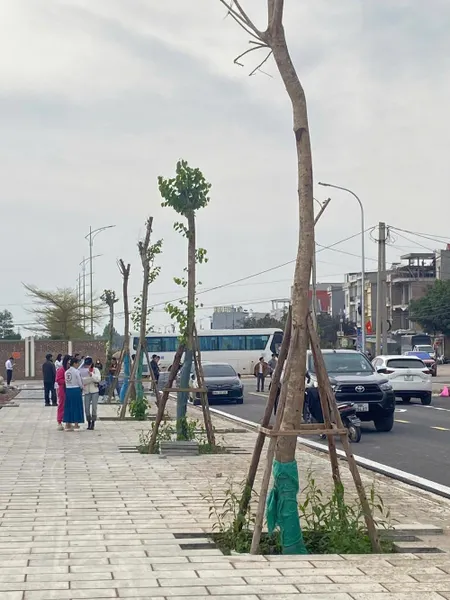 Cơ hội vàng sở hữu đất dự án ngay cạnh Khu Công Nghiệp Tân Hưng