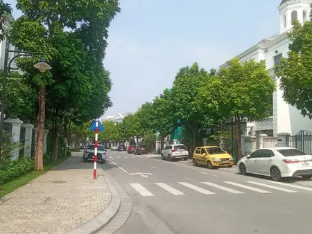 Bán biệt thự đơn lập Swan Bay Zone 5, vị trí đẹp gần bến du thuyền, giá 25 tỷ