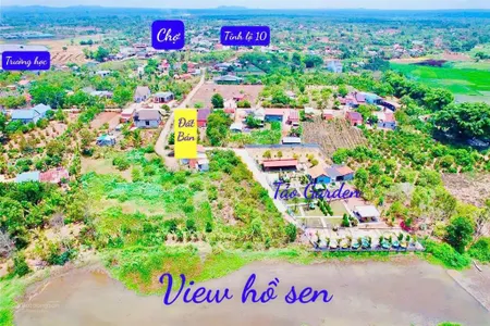 View hồ sen đẹp tại xã eahu, huyện cư kuin, dak lak dt 15x52m tc 150m2 mặt tiền đường bê tông,