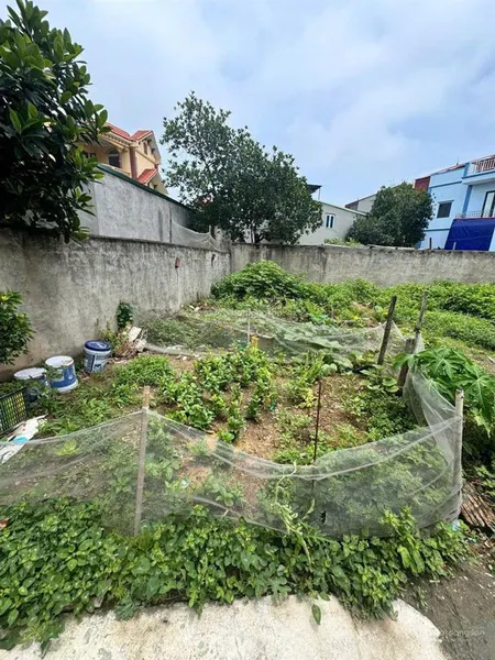 Cần bán lô đất đẹp tại đại áng 42,5m. mt trên 4m. ngõ ôtô.
