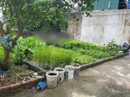 Bán đất tại xã hồng vân, thường tín, hà nội dt 48m2 mt 7m giá 2,2tỷ sát tđc cận thị gần đường ql427
