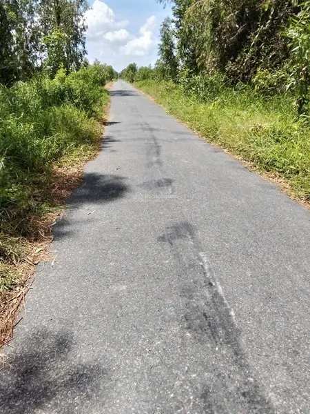 Bán đất tại mt đ. 865, 3,65 tỷ, 8103m2 có 1988m2 thổ cư đẹp, nhiều tiện ích, tân phước, tiền giang