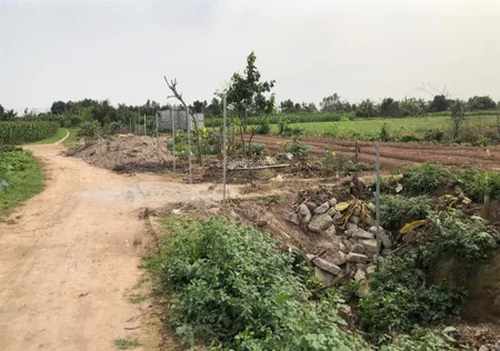 Bán đất nông nghiệp mặt tiền 11.6m. mặt hậu 13m