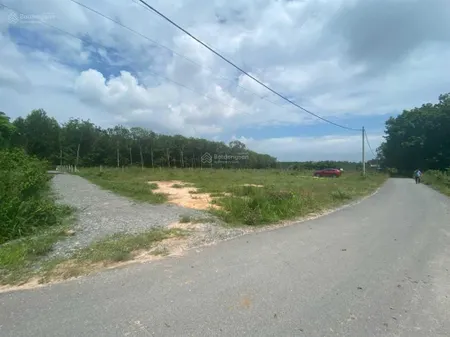 Đất mặt tiền xã phú mỹ hưng, củ chi, 1 sẹc đường nguyễn thị rành, sát công viên safari, dt 98m*28m