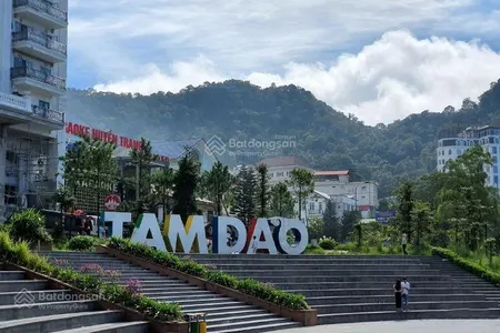 Đất trung tâm tam đảo, siêu vip, 425m2, 15 mt thích hợp kinh doanh
