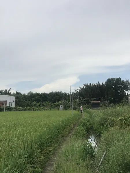 Bán đất 1399.8m² giá 420 triệu Xã Vàm Cỏ