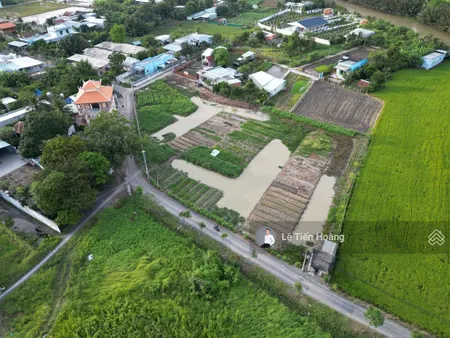 Bán đất 4600m có 110m đường nhựa trường bình mỹ lộc, xã mỹ lộc cần giuộc