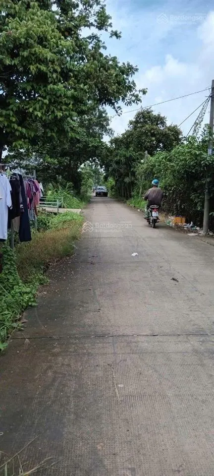 Bán lô 3100m2 đất nông nghiệp xã hưng long, huyện bình chánh (gần nguyễn văn linh + ql1a)