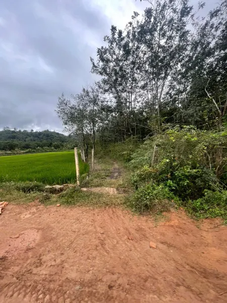 Bán đất 9000m² ngang 40m giá 1.8 tỷ Xã Ea Na