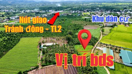 Bán đất 1149m² giá 550 triệu Xã Hòa Phú