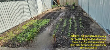 ĐẤT ĐẸP - GIÁ TỐT BÁN đất Phường Tân Tạo, Q. Bình Tân (Sau chùa Long Thạnh, 5 x 17m, đường nhựa 6m)