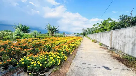 Sở hữu ngay 2000m2 đất cổng KCN Đất Đỏ