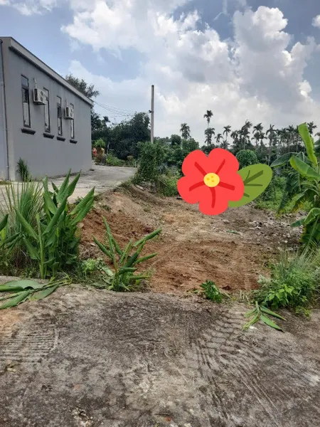 Cần bán