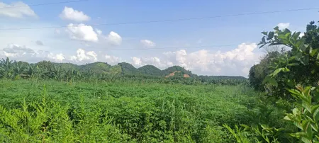 HOT !!! SỞ HỮU NGAY LÔ ĐẤT ĐẸP - GIÁ TỐT - Vị Trí Đắc Địa Tại Cát Tiên, Đa Huoai, Lâm Đồng