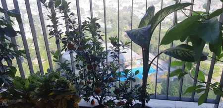 Bán căn hộ 1pn tòa chung cư zen kđt gamuda