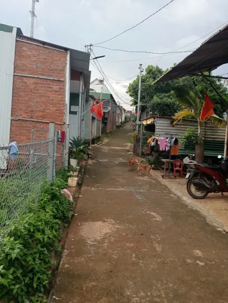 2 CĂN HẺM 206 DÃ TƯỢNG NÔNG NGHIỆP VIẾT TAY 10/9/25