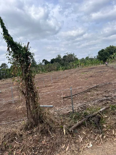 Bán đất 470m² ngang 10m giá 790 triệu Xã Hòa Phú 10/9/25