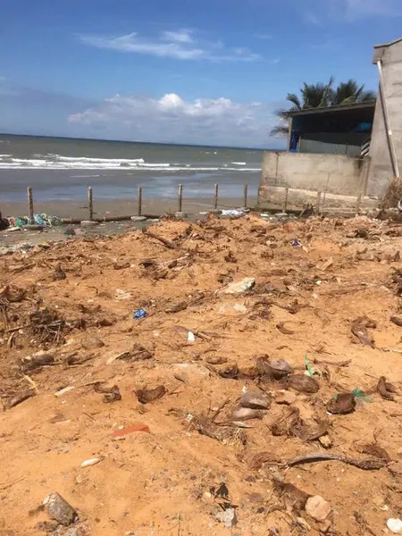 Cắt lỗ