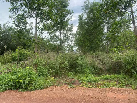 Cần bán đất chính chủ tại - khu phố Thanh An- phường An Lộc-  tỉnh Đồng Nai