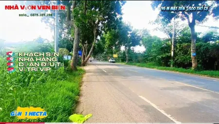 42 tỷ sở hữu 9000 m2 mặt tiền ql 56 hoà long tp bà ria có 300 thổ cư & mặt tiền 95 m cho a/c