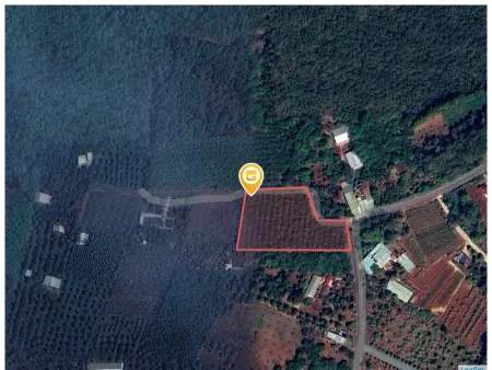 Bán đất 4861.4m² ngang 29m giá 135 triệu/ sào Xã Minh Đức
