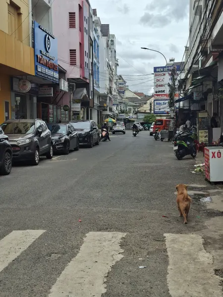 Bán nhà mặt tiền chính chủ 130mv ngay trung tâm Đà Lạt
