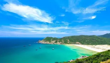 Siêu phẩm đất rừng sản xuất 7,8ha, ngang 40m, mt ql 1 tại đại lãnh, vạn ninh giá 159 tỷ