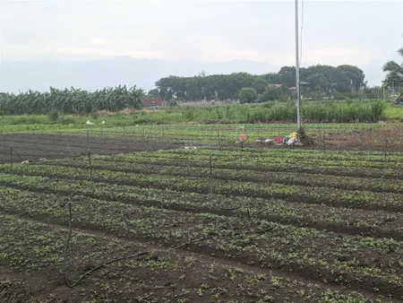Bán lô đất thổ cư 2816.8m2 mặt tiền rộng có thể phân lô, làm xưởng, làm biệt thự đẹp gần quốc lộ 1a