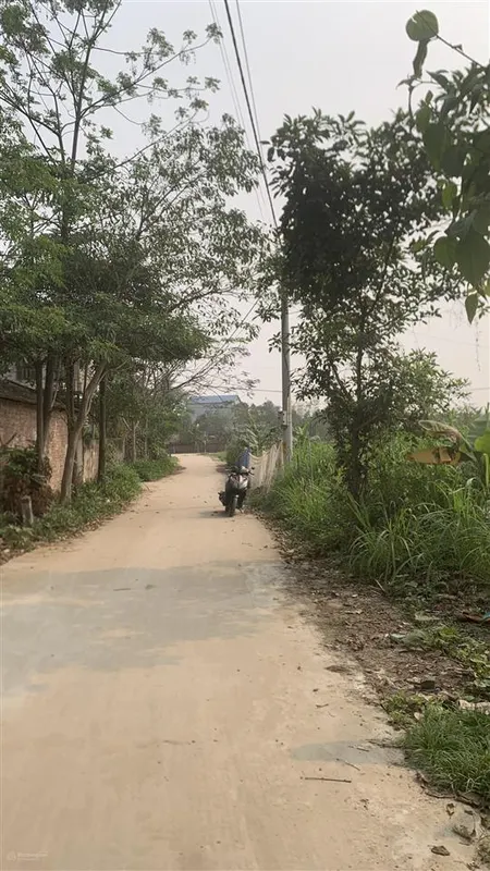 Siêu hiếm! bán mảnh đất tại nam lý, sóc sơn, hà nội, s=737m2, mt 30m, ô tô tránh, 2,3 tỷ