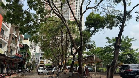 Chính chủ cần tiền gửi bán gấp mảnh đất đẹp thôn đông trù- đông hội - đông anh - hà nội