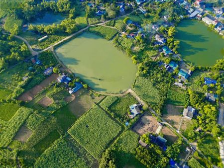 Cần tiền lấy Ck bán đất Hợp phong ( nay Xã Cao Phong ) tỉnh Phú Tho