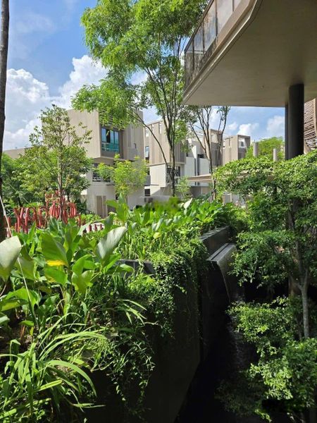 The orchard sycamore | nơi giới thượng lưu định hình cuộc sống