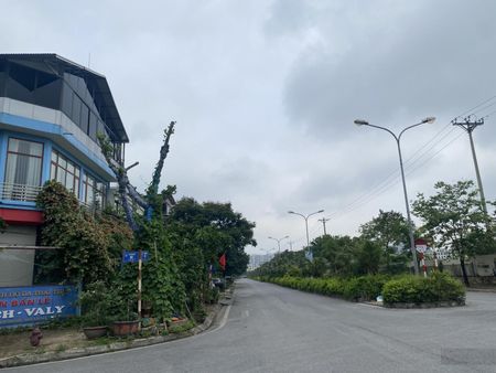 Hàng hiếm chỉ còn 1 lô duy nhất tại đông dư gia lâm diện tích: 40m2.