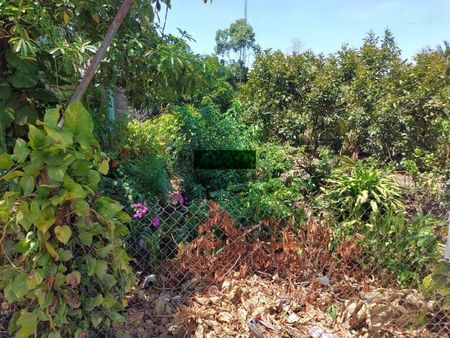 Chính chủ cần bán đất 10m x 50m, liền kề suối tự nhiên, mặt đường Tỉnh lộ 721
