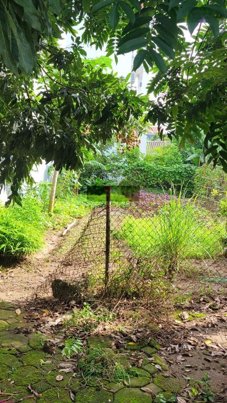 Duy nhất 1 lô đẹP X2 Tráng Việt