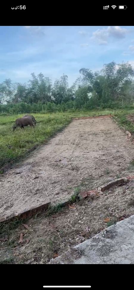 Chính Chủ Bán Lô Đất Mặt Tiền Đường 7m Sau Lưng UBND Xã Đại Hiệp - Tích Phú Đại Hiệp