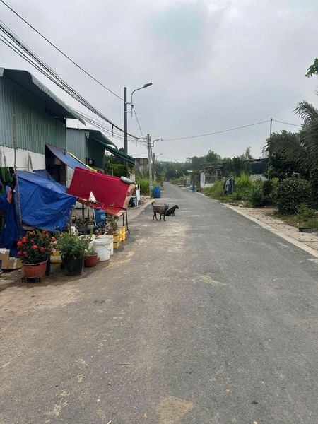 Đất đầu tư sinh lời tại phường an tây bến cát bình dương: Tổng diện tích 639m2 thổ cư 100m.