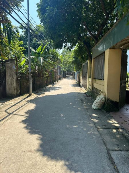 Bán đất 55m trung tâm xã Võng Xuyên, chính chủ, sổ đỏ giao dịch ngay