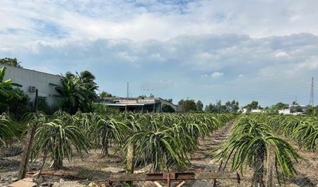 Bán 4043m2 Đất Vị trí đẹp - Nhựt Chánh, Bến Lức, Long An. Giá 20 tỷ! Liên Hệ 0946787880