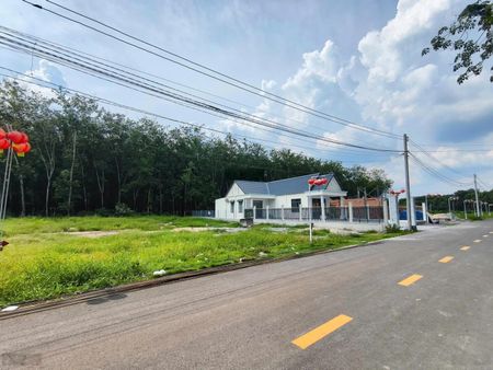 bán gấp 860triệu/220m2 - Đất Tân Long - Phú Giáo - Bình Dương ngay Cao tốc HCM-BD-Chơn Thành