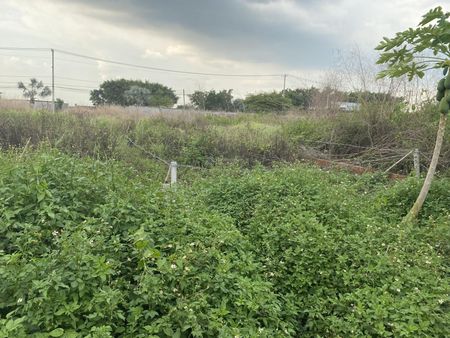 Bán Đất 2000m2 thổ cư ở Đông Thạnh, Hóc Môn, giá siêu hời 15,5 tỷ